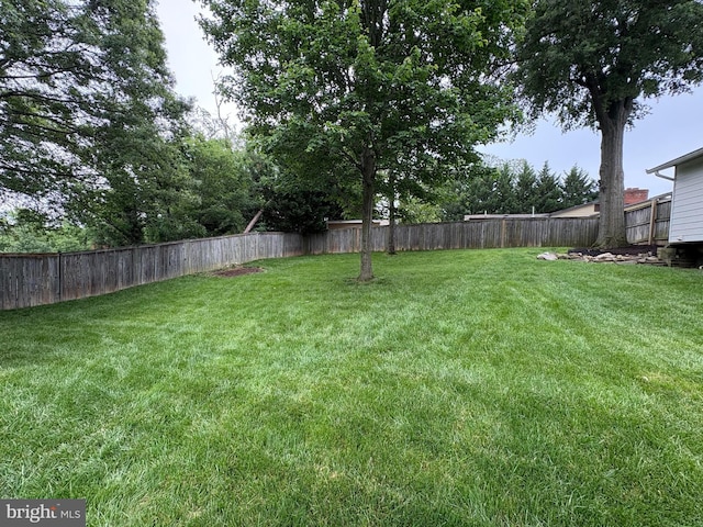 3427 Ramsgate Ter, Alexandria, VA 22309 - view of yard