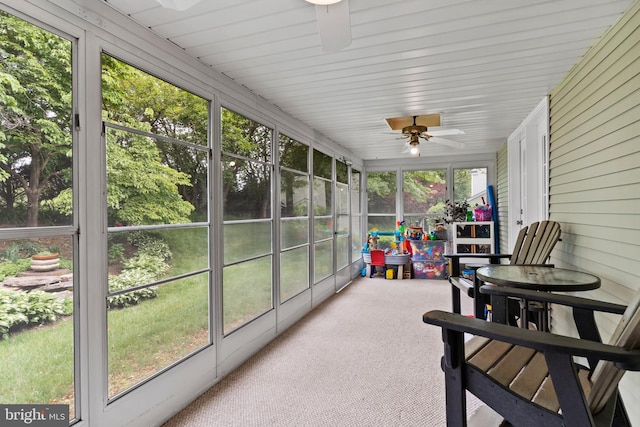 1827 Wexford Rd, Palmyra, PA 17078 - sunroom with ceiling fan