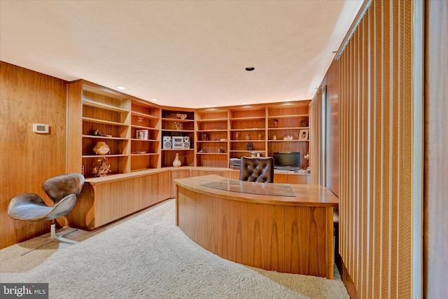 22 Woodholme Village Ct, Baltimore, MD 21208 - office with carpet, recessed lighting, and wood walls