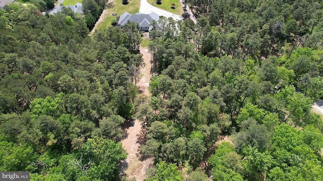265 N Cologne Ave, Egg Harbor City, NJ 08215 - aerial view of property's location featuring a forest