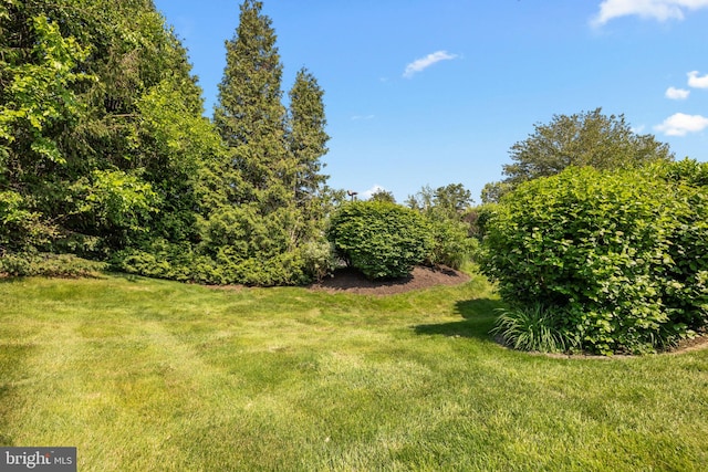 22 Goldfields Ave, Langhorne, PA 19047 - view of grassy yard