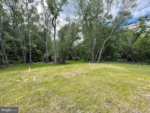 1511 N Ave, Port Norris, NJ 08349 - view of grassy yard