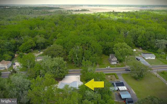 1511 N Ave, Port Norris, NJ 08349 - drone / aerial view of a forest