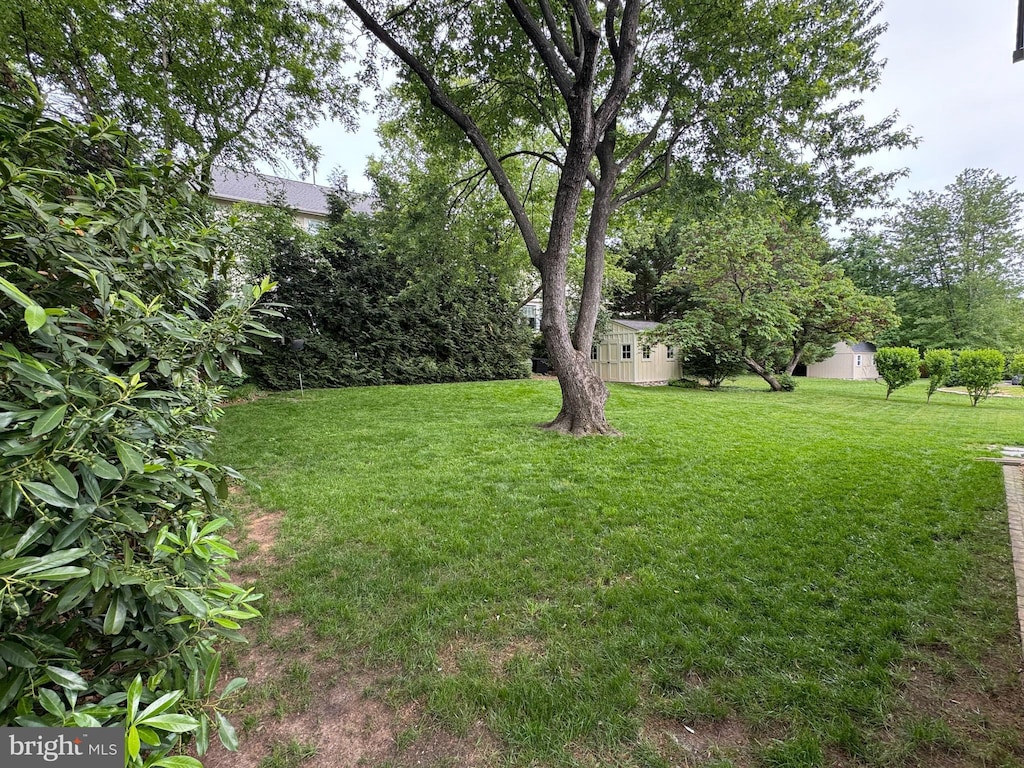 213 Wildman St NE, Leesburg, VA 20176 - view of green lawn