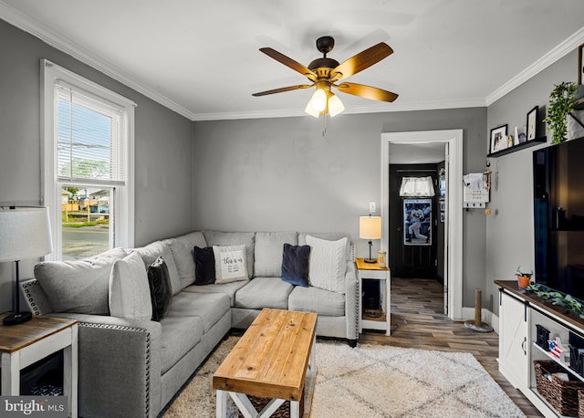 1200 Hessian Ave, National Park, NJ 08063 - living area featuring wood finished floors, a ceiling fan, ornamental molding, and baseboards