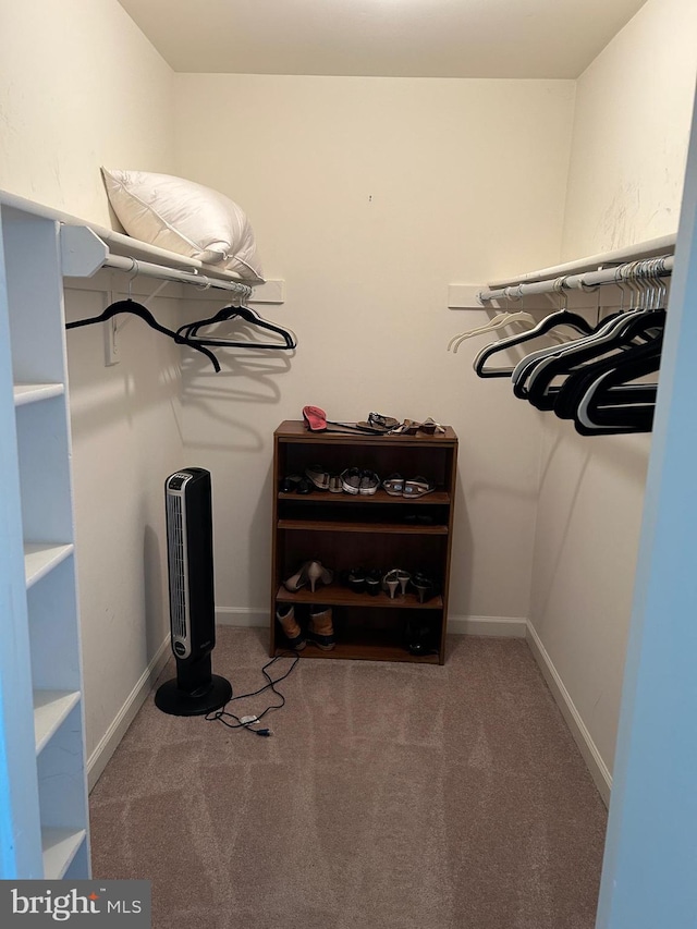 15496 Travailer Ct, Woodbridge, VA 22193 - spacious closet featuring carpet flooring
