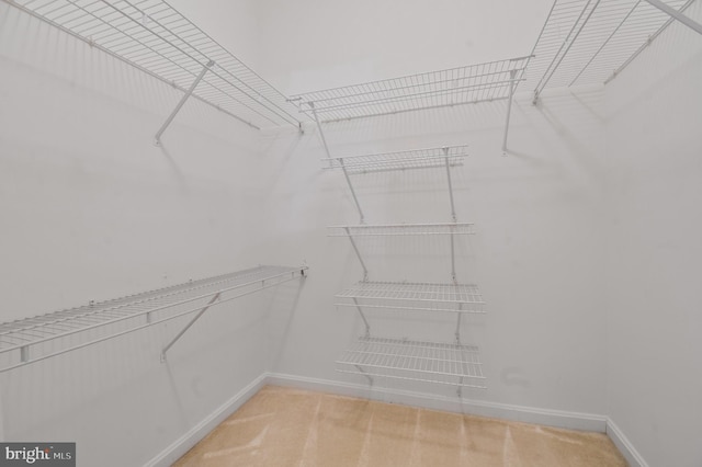 2904 N Leisure World Blvd Unit 517, Silver Spring, MD 20906 - spacious closet with carpet floors