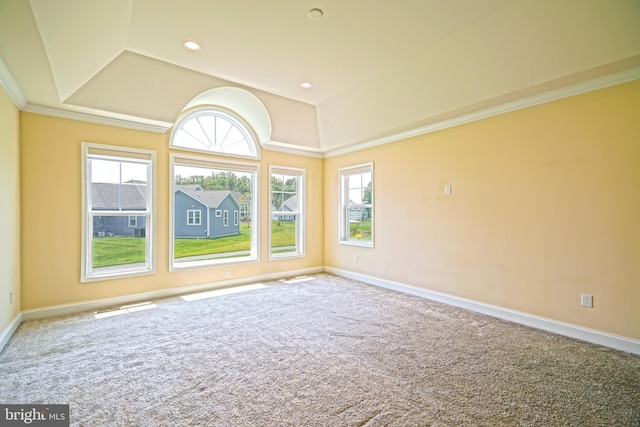 33557 Downing Cir, Lewes, DE 19958 - carpeted spare room with crown molding and vaulted ceiling