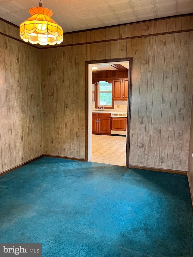 221 S State St, Talmage, PA 17580 - empty room featuring light carpet, wood walls, and baseboards