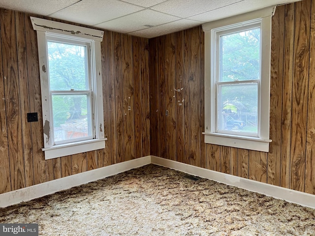 221 S State St, Talmage, PA 17580 - carpeted empty room with wooden walls and plenty of natural light
