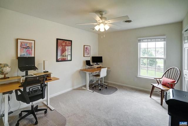 332 Overview St, Waynesboro, VA 22980 - office featuring a ceiling fan, carpet, and baseboards