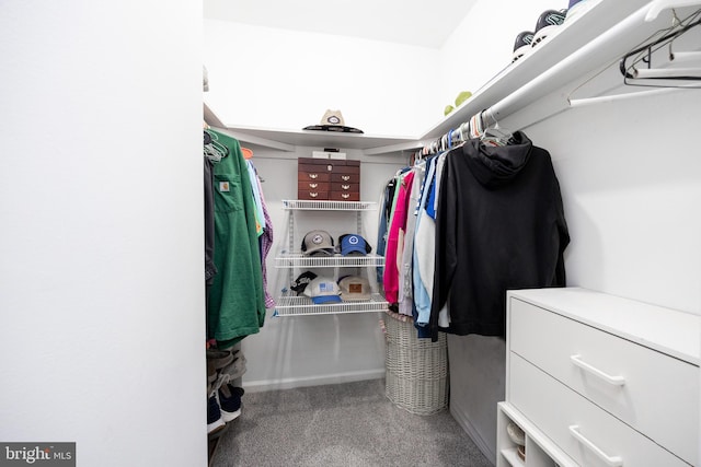 106 Everest Cir Unit 106, West Chester, PA 19382 - spacious closet with carpet