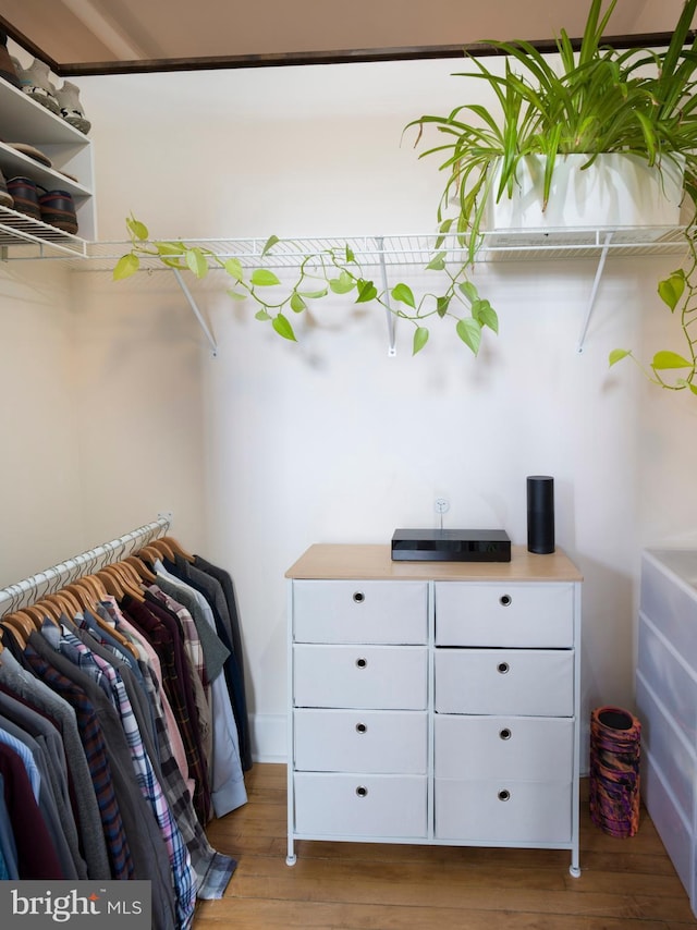 200 Lincoln Ave Unit 213, Phoenixville, PA 19460 - walk in closet featuring wood finished floors