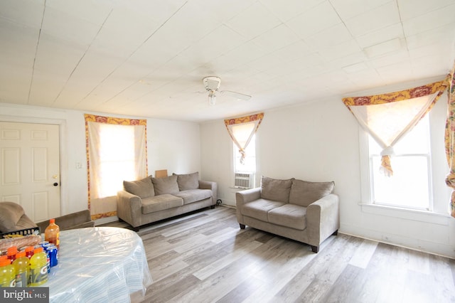 113 Washington St, Cambridge, MD 21613 - living area with plenty of natural light, a ceiling fan, and wood finished floors
