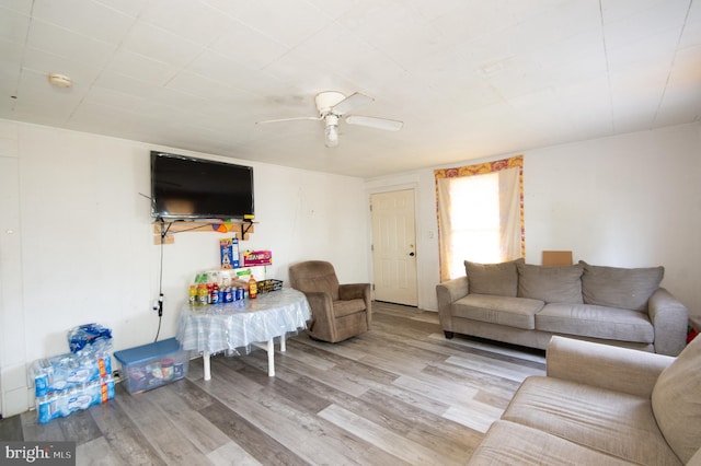 113 Washington St, Cambridge, MD 21613 - living room with light wood finished floors and ceiling fan