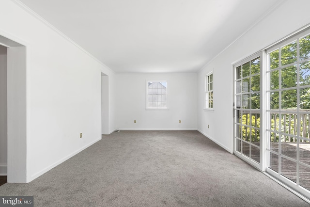 534 Hillcrest Ave, Glenside, PA 19038 - unfurnished room featuring carpet, crown molding, and baseboards
