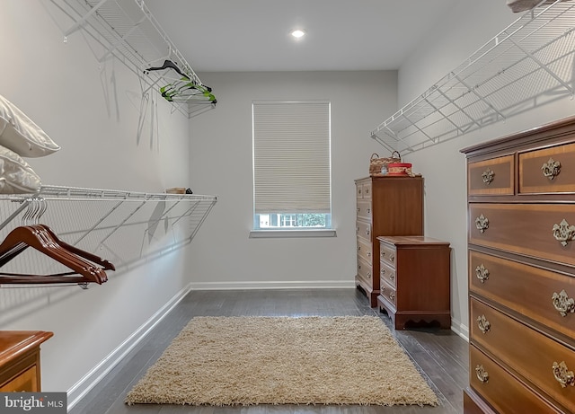 8716 Windon Ct, Waldorf, MD 20603 - walk in closet featuring dark wood-style flooring