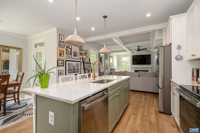 3707 Thicket Run Pl, Charlottesville, VA 22911 - kitchen with a sink, stainless steel appliances, open floor plan, ornamental molding, and a fireplace