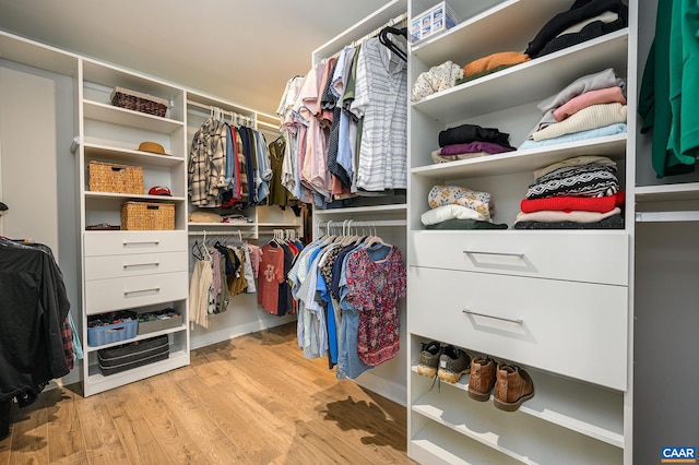 3707 Thicket Run Pl, Charlottesville, VA 22911 - walk in closet with wood finished floors