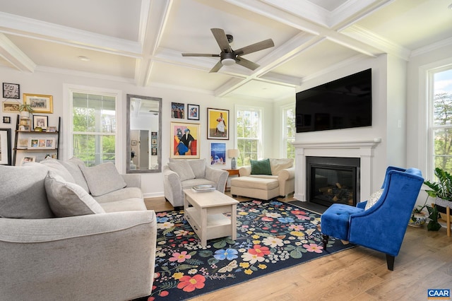 3707 Thicket Run Pl, Charlottesville, VA 22911 - living room featuring coffered ceiling, wood finished floors, a glass covered fireplace, beamed ceiling, and ceiling fan