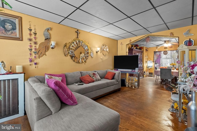 2824 Ashland Ave, Baltimore, MD 21205 - living area with wood finished floors, a drop ceiling, and ceiling fan