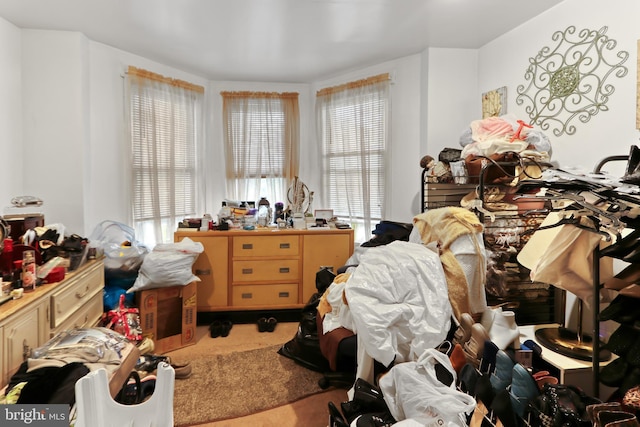 2227 Carter St, Wilmington, DE 19802 - bedroom with carpet and multiple windows