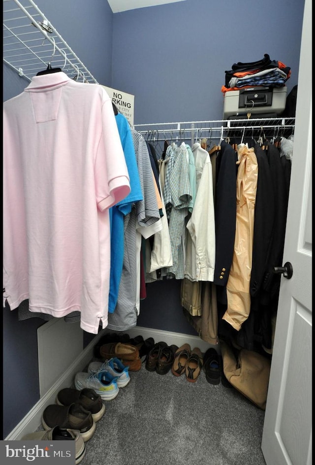 30 Keswick Path, Medford, NJ 08055 - walk in closet with carpet flooring