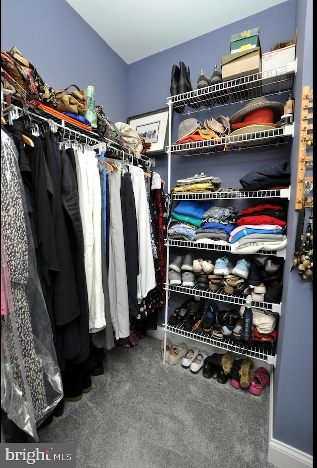 30 Keswick Path, Medford, NJ 08055 - walk in closet with carpet flooring