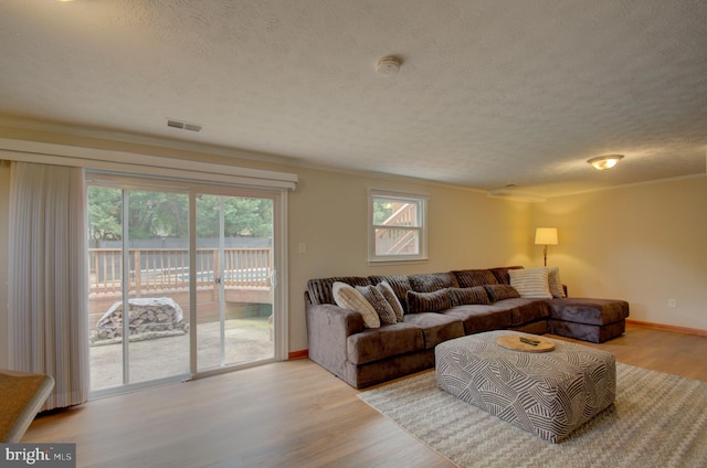 3405 Sundown Farms Way, Olney, MD 20832 - living room featuring wood finished floors, a textured ceiling, ornamental molding, and baseboards