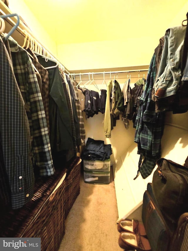 5200 Hilltop Dr Unit Bb-17, Brookhaven, PA 19015 - spacious closet with carpet flooring