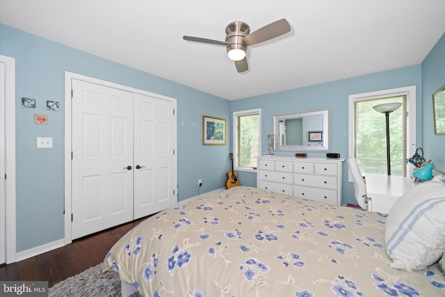 114 W Pembrey Dr, Wilmington, DE 19803 - bedroom with wood finished floors, multiple windows, a closet, and a ceiling fan