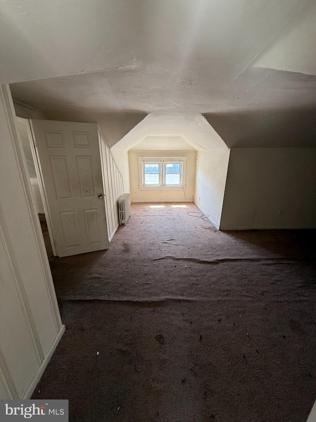 2905 Echodale Ave, Baltimore, MD 21214 - additional living space featuring radiator, carpet, and vaulted ceiling