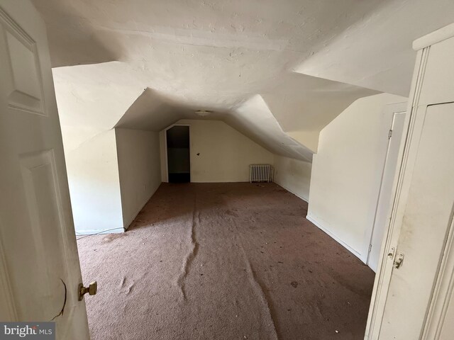 2905 Echodale Ave, Baltimore, MD 21214 - bonus room with radiator, vaulted ceiling, and carpet floors