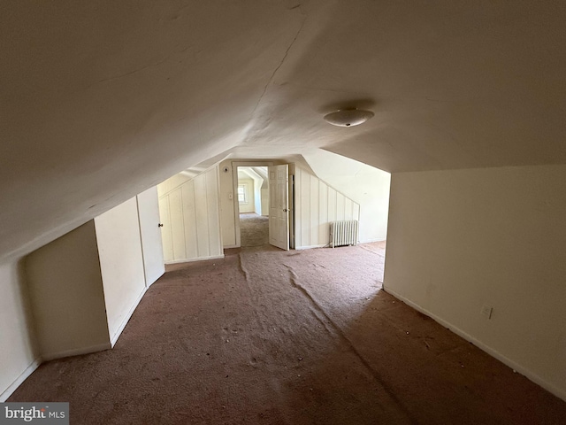 2905 Echodale Ave, Baltimore, MD 21214 - bonus room featuring carpet floors, vaulted ceiling, and baseboards