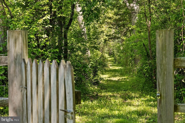 408 Kintner Hill Rd, Upper Black Eddy, PA 18972 - view of yard with a forest view