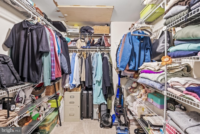 36 Kettlebrook Dr, Mount Laurel, NJ 08054 - walk in closet featuring carpet floors