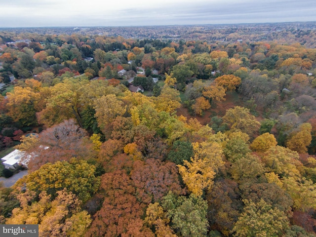 6101 Gentry Ln, Baltimore, MD 21210 - drone / aerial view of a forest