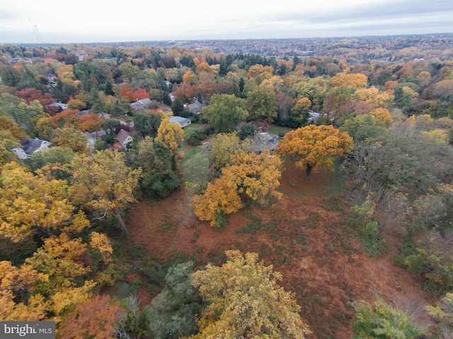 6101 Gentry Ln, Baltimore, MD 21210 - aerial view of property and surrounding area with a forest