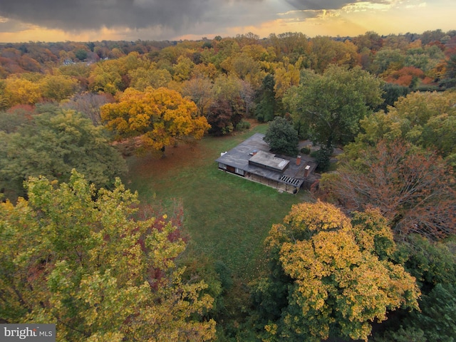 6101 Gentry Ln, Baltimore, MD 21210 - aerial view at dusk of a wooded view