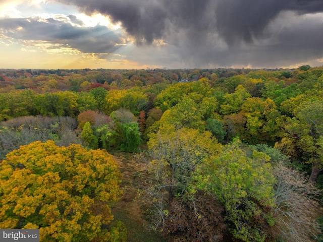 6101 Gentry Ln, Baltimore, MD 21210 - bird's eye view of a forest