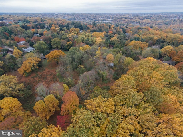 6101 Gentry Ln, Baltimore, MD 21210 - aerial view of property and surrounding area featuring a forest