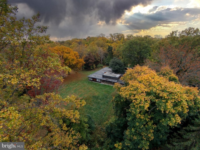 6101 Gentry Ln, Baltimore, MD 21210 - aerial view of property and surrounding area featuring a heavily wooded area
