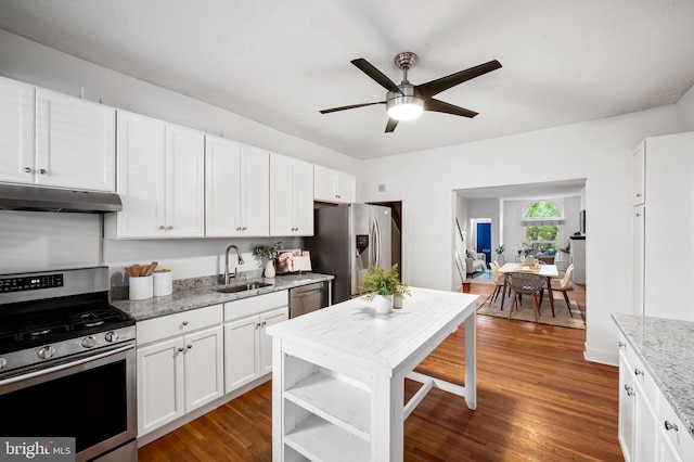511 S E Ave, Baltimore, MD 21224 - kitchen with appliances with stainless steel finishes, under cabinet range hood, a sink, ceiling fan, and white cabinets