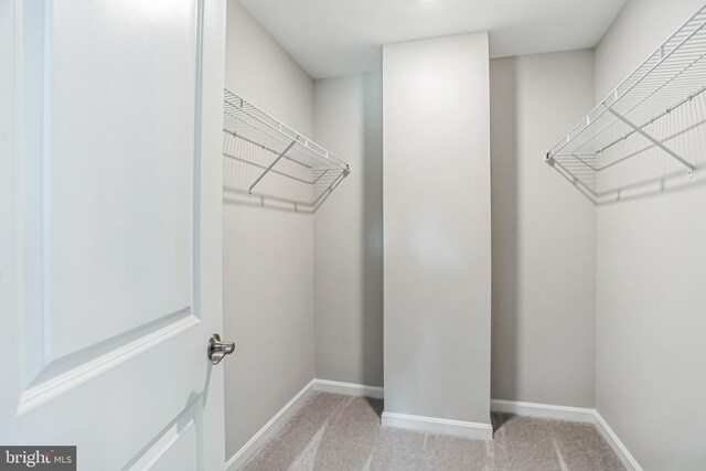 7308 Roxy Run Unit 10, Clinton, MD 20735 - walk in closet featuring light colored carpet