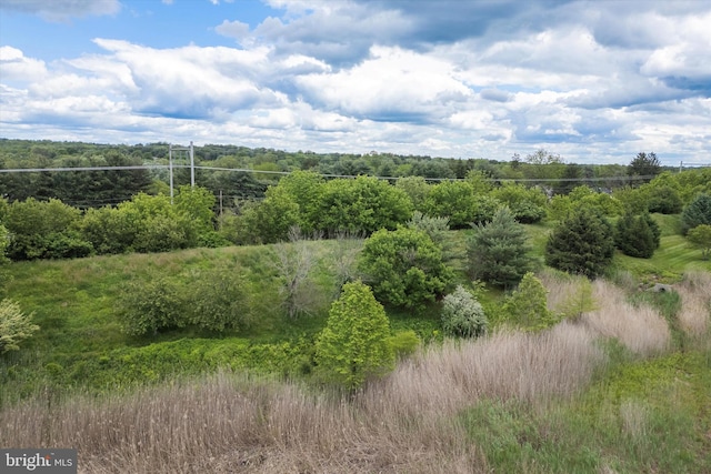 501 Jasmine Cir, Upper Gwynedd, PA 19446 - view of undeveloped land