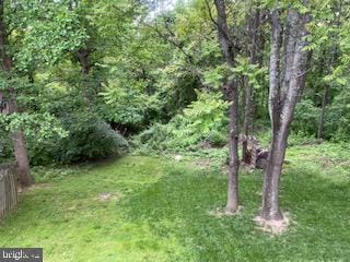 11306 Bent Creek Ter, Germantown, MD 20876 - view of green lawn with a view of trees