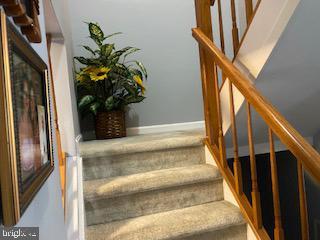 11306 Bent Creek Ter, Germantown, MD 20876 - stairway featuring carpet and baseboards