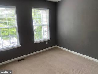 11306 Bent Creek Ter, Germantown, MD 20876 - spare room with plenty of natural light, light colored carpet, and baseboards