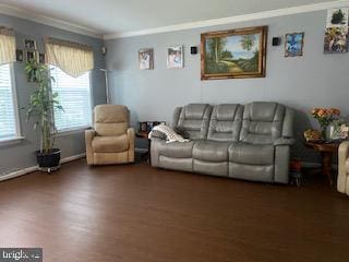 11306 Bent Creek Ter, Germantown, MD 20876 - living area featuring crown molding and wood finished floors