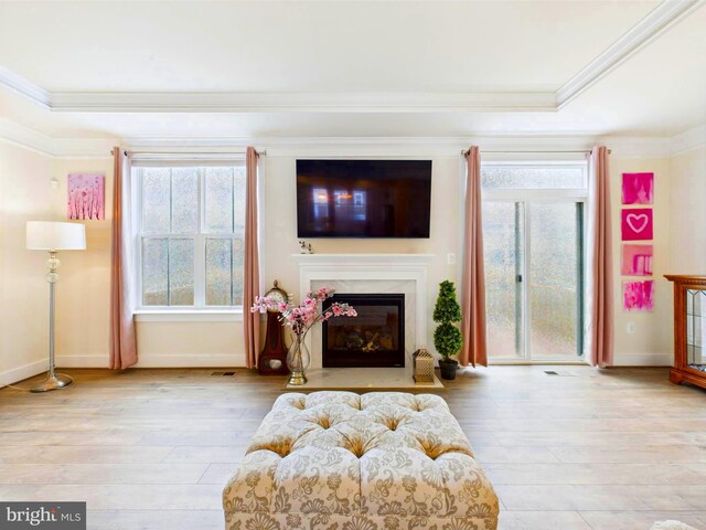 4737 Earl Flanagan Way, Alexandria, VA 22309 - living room with hardwood / wood-style floors, crown molding, a tray ceiling, and baseboards